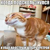 IMG20250821174209827.jpg