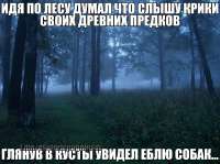 IMG20240811123408493.jpg