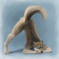 1630289677.djanojackopose.jpg