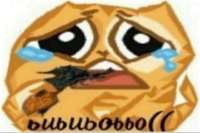 kAHhWmIiX2A.jpg