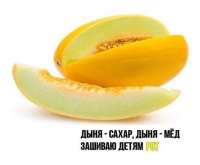Приколы-для-даунов-разное-фруктовый-сад-сатана-5136699.jpeg