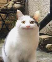 Screenshффффot2.png