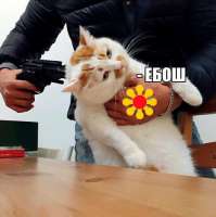 15755388877431.jpg