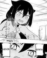 Anime-фэндомы-5299362.jpeg