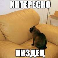 15771344887700.jpg