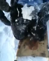 15628451911300.mp4
