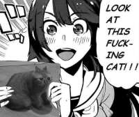 16541534459470.jpg