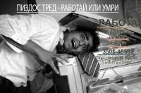 crazy-office-2284.jpg