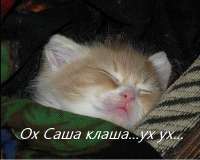 74d3f100dddee70ee0befda4936b77ddi-49 — копия.jpg