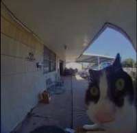 1677673811314.jpg