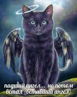Bif7AzjCuj8.jpg
