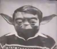 1678613509767.jpg