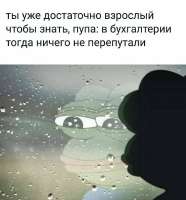 1679578895684.jpg