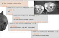 c2c21df916e1.jpg