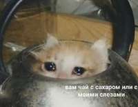 IMG20230328080238024.jpg