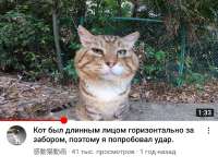 l-ouBmlKaLGg9M5QVWtKXRnmwPeyxwduYRKWLZxVhlcRJ58iOaOCTICTpNYacruA4gY1-QdMPngQLrtri6Gyud.jpg