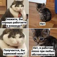 1680501681778.jpg
