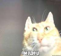 Без названия.jpeg.jpg