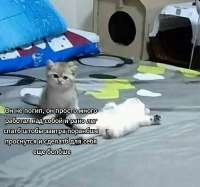 IMG20230409011816965.jpg