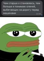 1681147809368.jpg