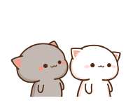 15822729233320.gif