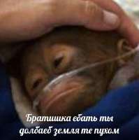 image(32).png