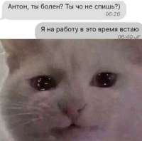 1681359976565.jpg
