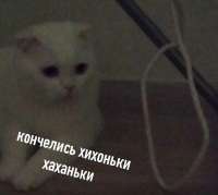 16388013935190.jpg