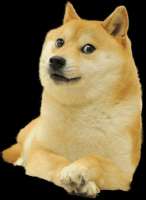 Doge-PNG-High-Quality-Image.png