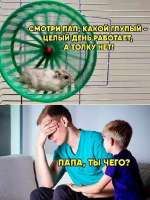 .jpg