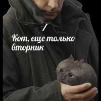 16818017575590.webp