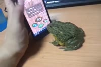 1681909832857.mp4