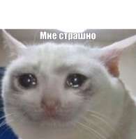 изображение.png