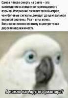.jpg