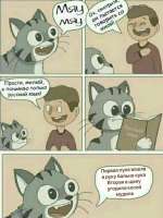 1682266811353.jpg