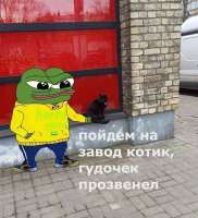 .jpg