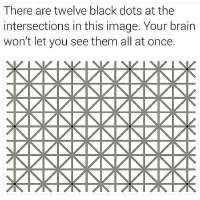 16823955644134.jpg
