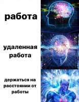 .jpg