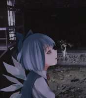 IMG0527.png