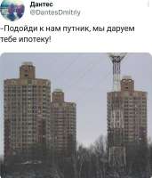 .jpg