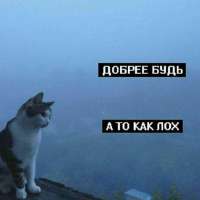 1682760702970.jpg