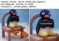 .jpg