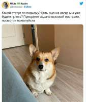 .jpg
