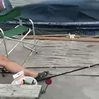 1671271214250356327480x480.mp4