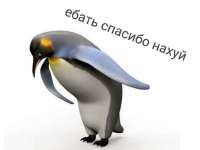 9fb4e54cdaec7060e5c15382efc4754a.jpg
