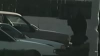 174914371242457960.mp4