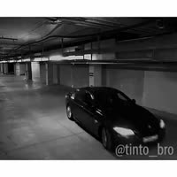 15546443561523.mp4