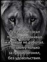 IMG20250426161116585.jpg