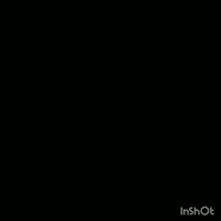 145154654564112.mp4