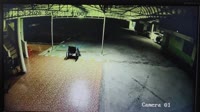 1561151655165.mp4